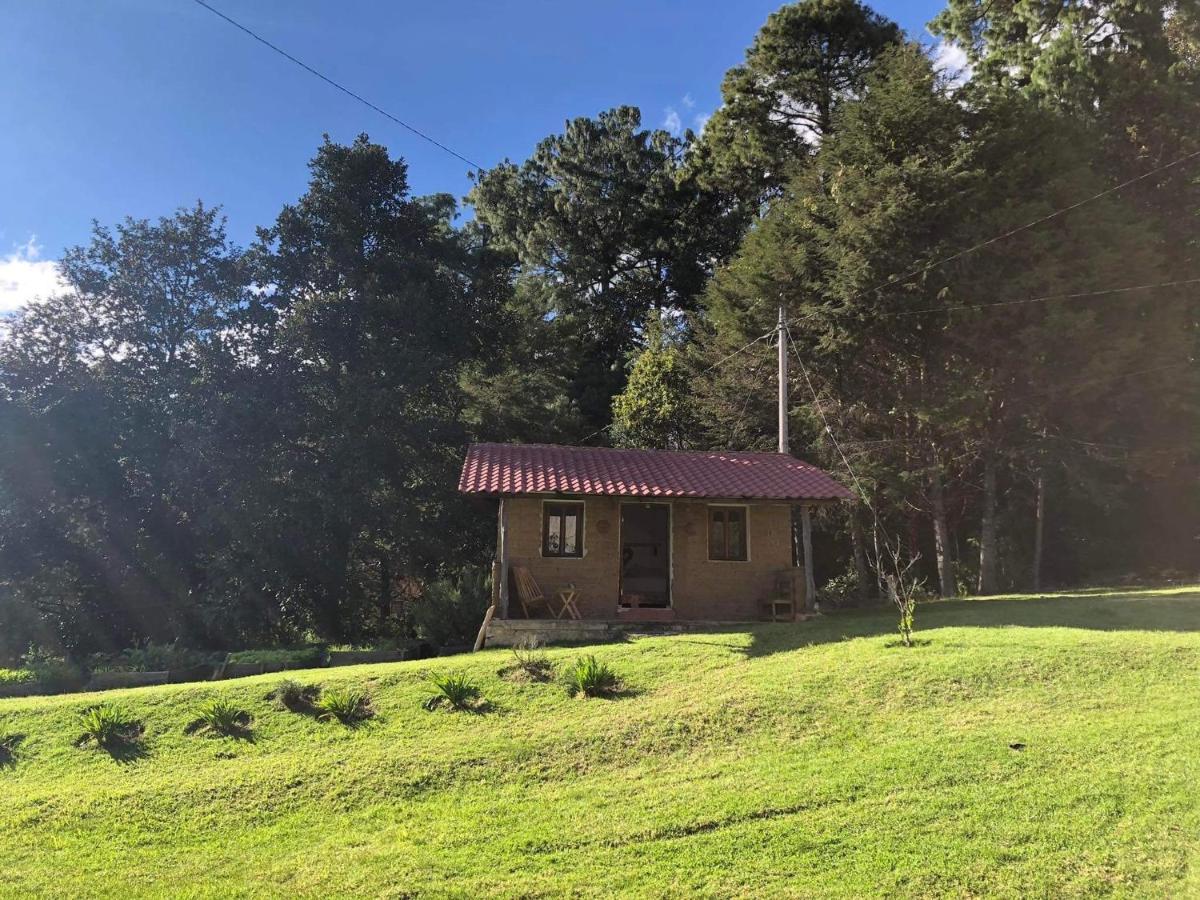 Gaia Nature Hotel San Cristobal de las Casas Exterior photo